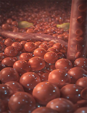 Picture of Metabolic Peptides