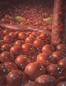 The picture of Metabolic Peptides