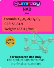Picture of NAD 500mg